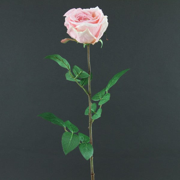 28"SNGL CALISTA ROSE A25 B18