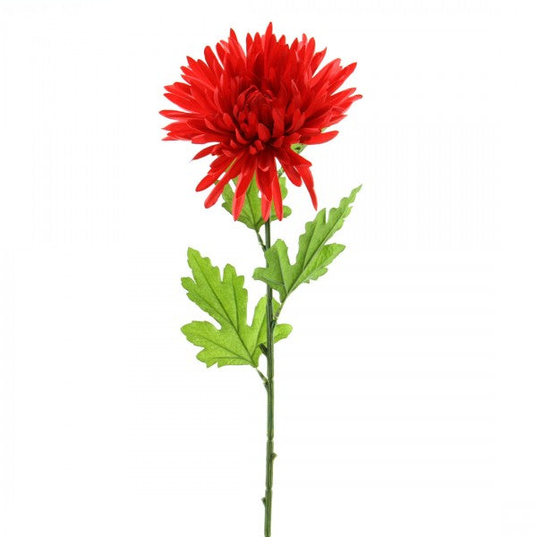 30"CHRYSANTHEMUMSTEM A4 B16