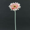 22"FLKD GERBERA STEM A4 B4
