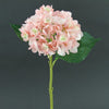 SINGLE HYDRANGEA STEM A4