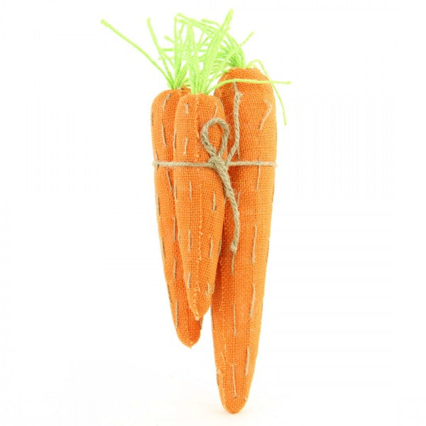 13"X4"X4"CARROT 3/BG A4