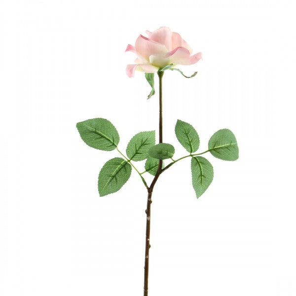 27"CAROLINE ROSE