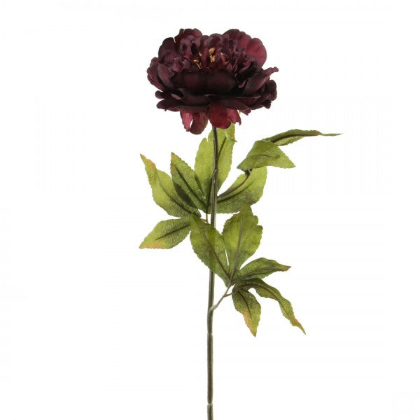 24"PEONY STEM DK.PURPLE A25