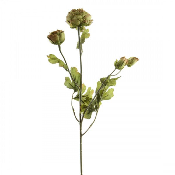 22.25"RANUNCULUS STEM SAGE