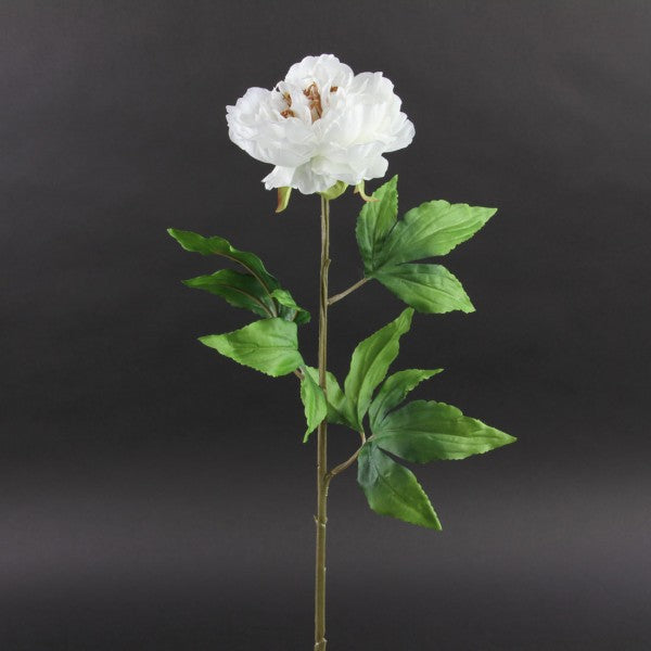 24"PEONY STEM WHITE A4