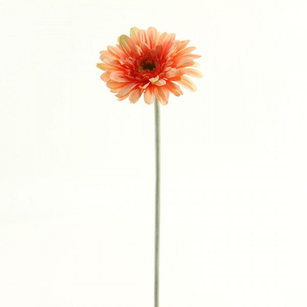 22"FLKD GERBERA STEM A4 B4