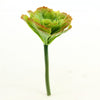 6.5"SUCCULENT PICK A25