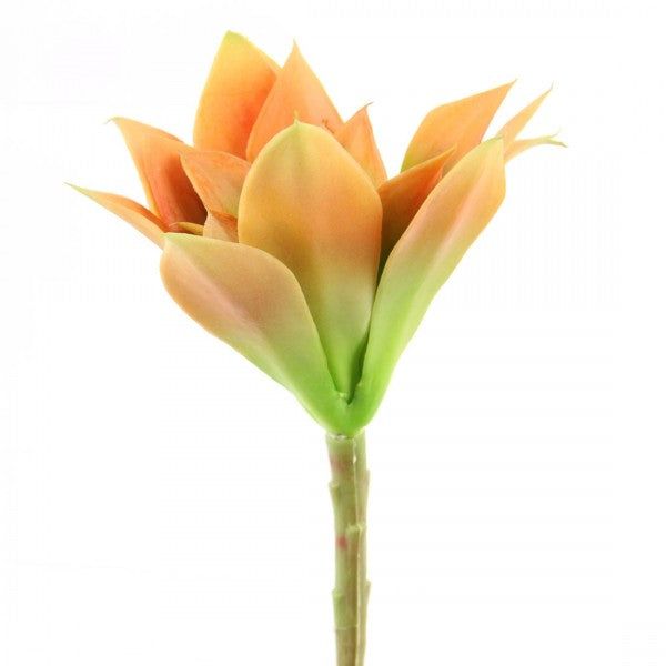 6.5"X7"SUCCULENT PICK