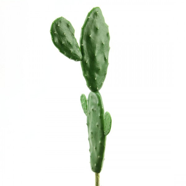 7"SINGLE CACTUS A25