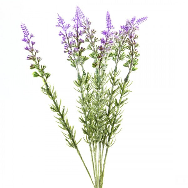 13"LAVENDER BUNDLE