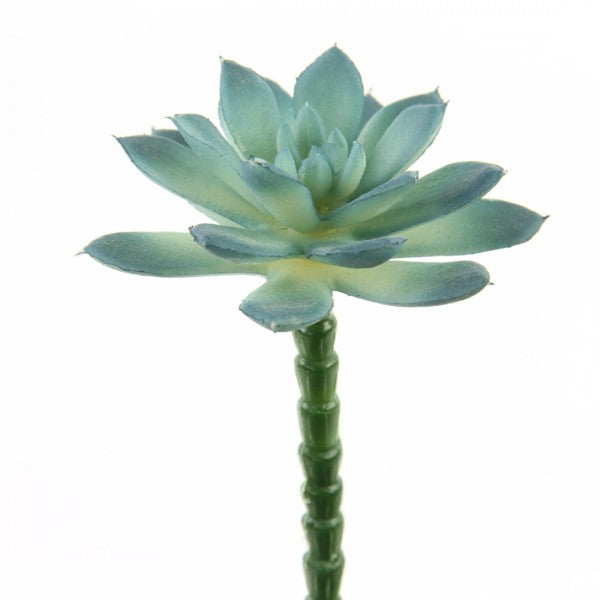 5.5"SUCCULENT PICK