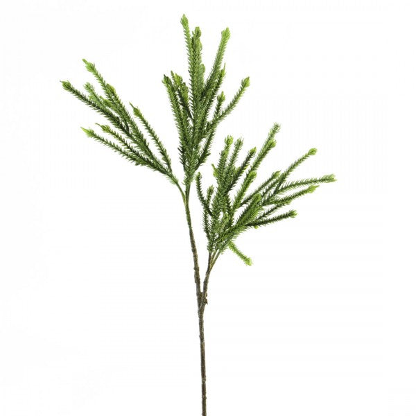 22" FINE PINE SPRAY A25