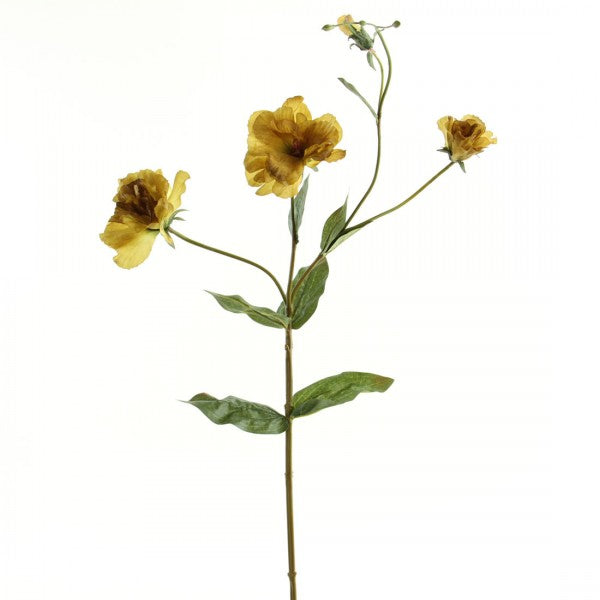 34"LISIANTHUS SPRAY A4 B10