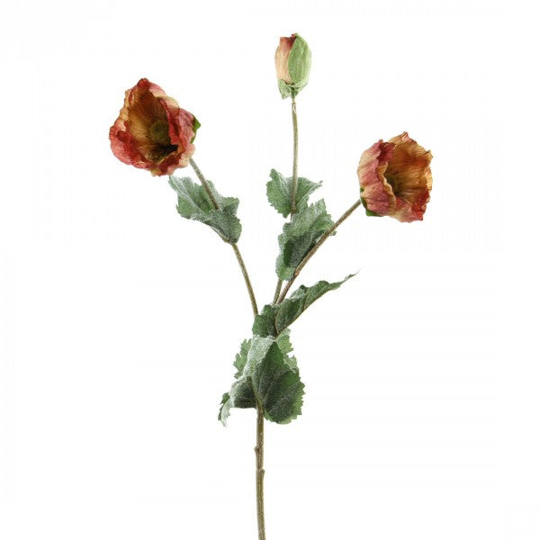 26"POPPY SPRAY X2 A25 B4