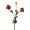 26"POPPY SPRAY X2 A25 B4