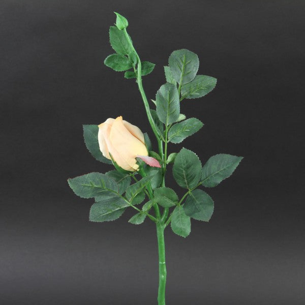 PRINCESS MARY ROSE BUD A4