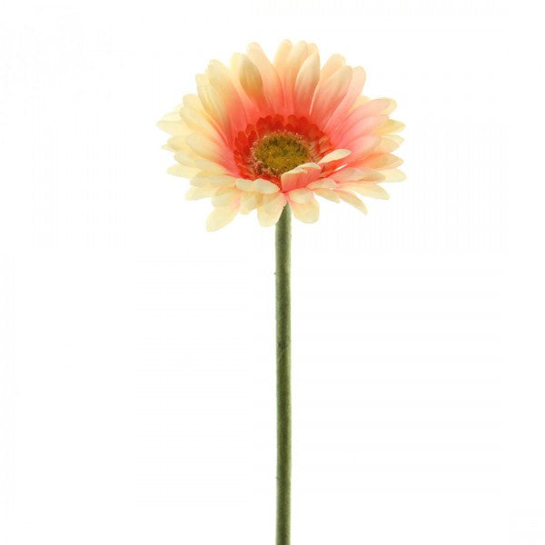 24" GERBER DAISY STEM  A4