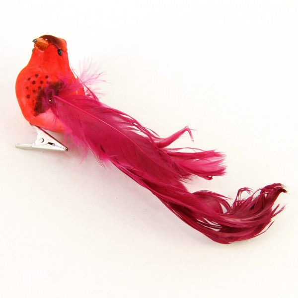RED BIRD A4
