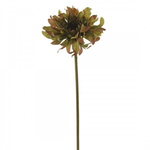 24.5"GERBER DAISY SPRY A4