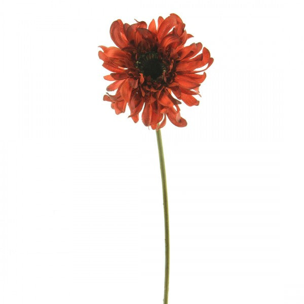 24.5"GERBERA DAISY SPRY A4