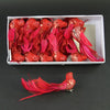 7.08"BIRD 12/BX RED A4
