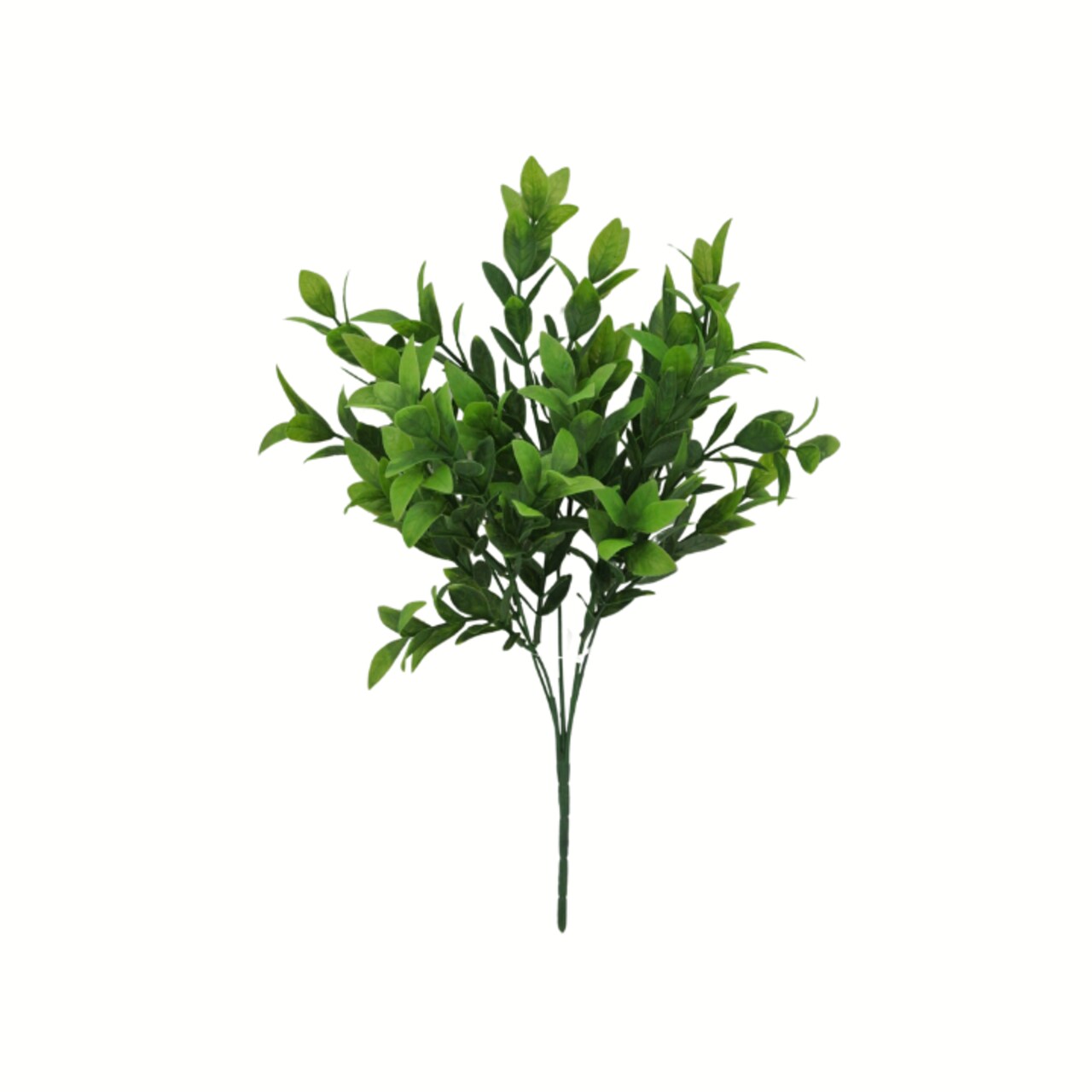 14"BABY RUSCUS BUSH X5