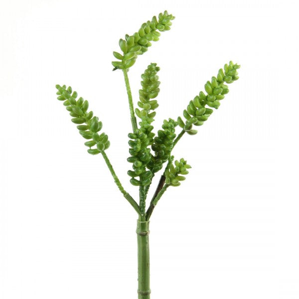 12"DONKEY'S TAIL SPRAY A25