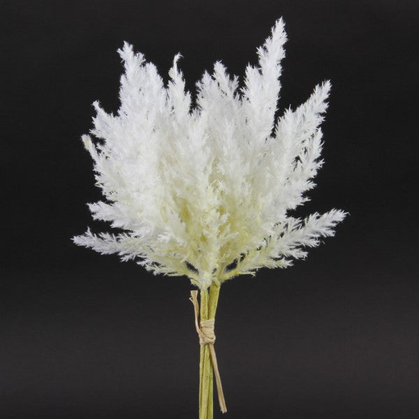 12"DRIED PAMPAS GRASS X3