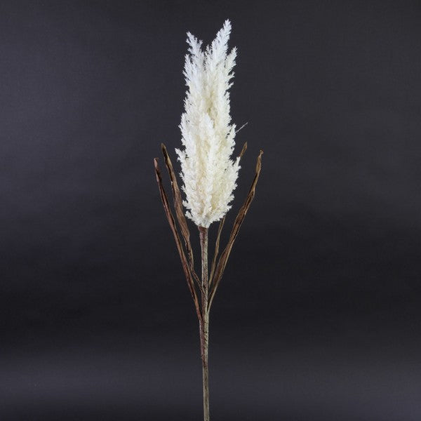 34"PLUME GRASS STEM NATURAL