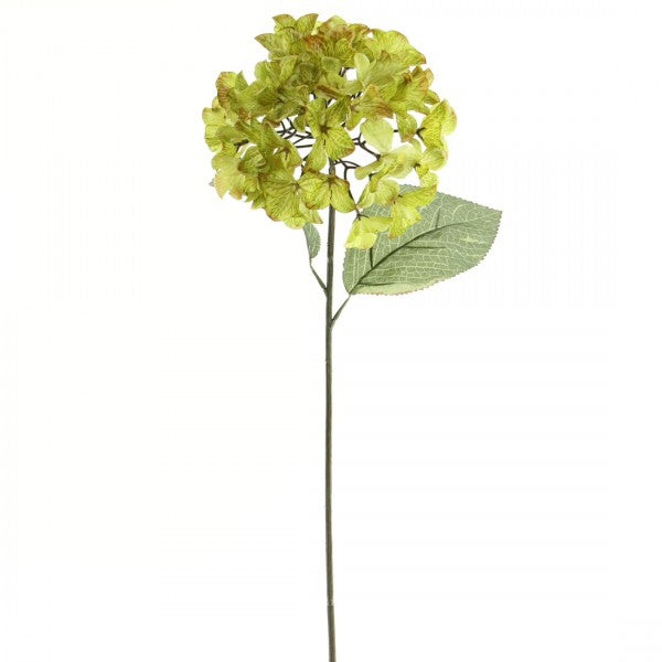 29"HYDRANGEA X1 GRN/BRN A4 B18