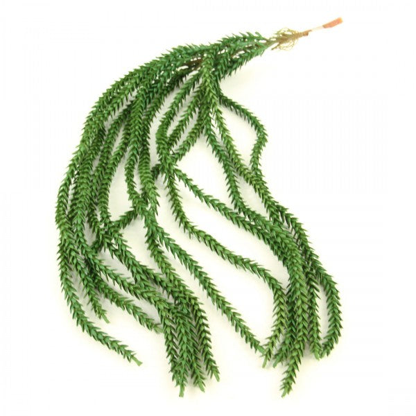 25"HANG.SUCCULENT GREEN