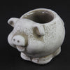 5.25"CEMENT PIG PLANTER