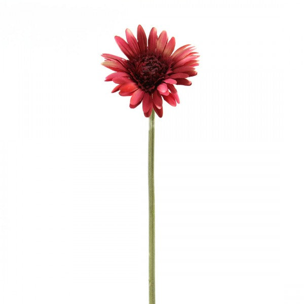GERBERA DAISY ROMANCE A5 B4