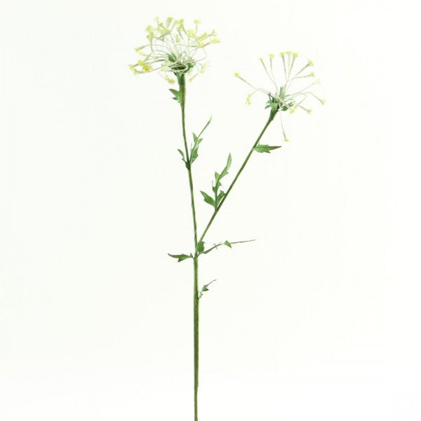 32" QUEEN ANNE'S LACE A5 B9