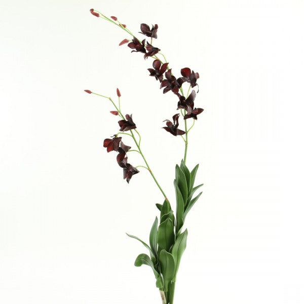 45" DENDROBIUM PLANT X3 A75