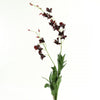 45" DENDROBIUM PLANT X3 A75