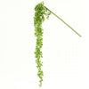 30"HANGING SUCCULENT SPRAY