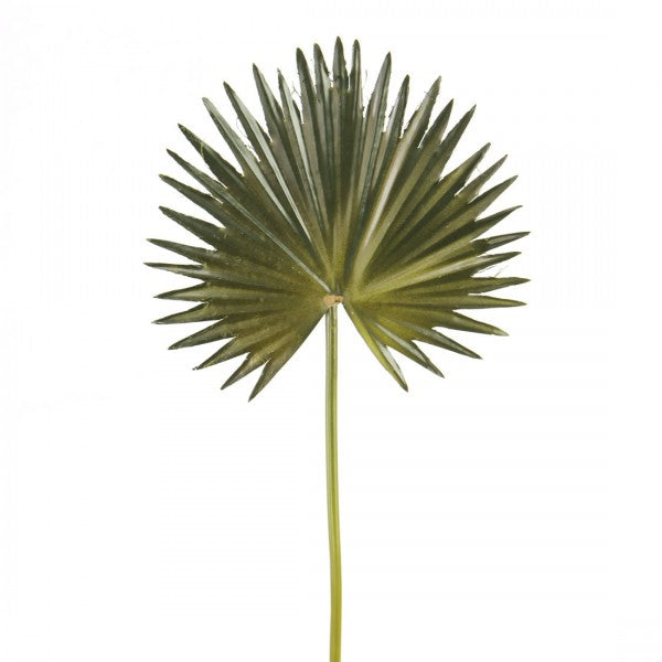15.5"FAN PALM SPRAY GREEN