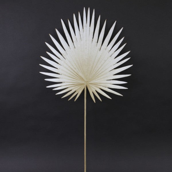 30"FAN PALM SPRAY BEIGE