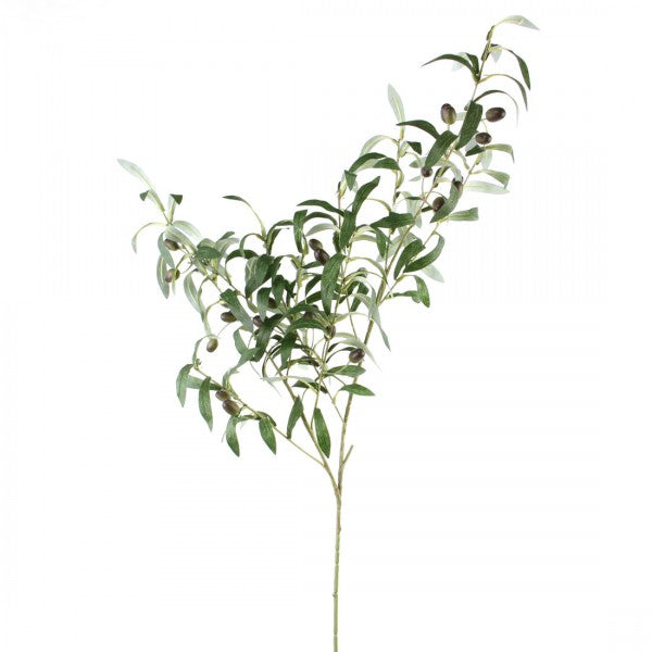 39"OLIVE SPRAY GRN/PLUM