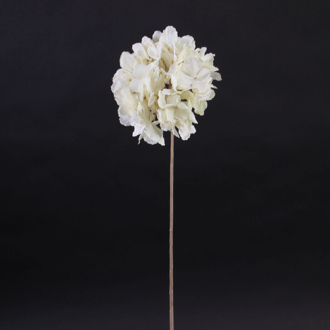 27"HYDRANGEA SPRAY CREAM/WHT