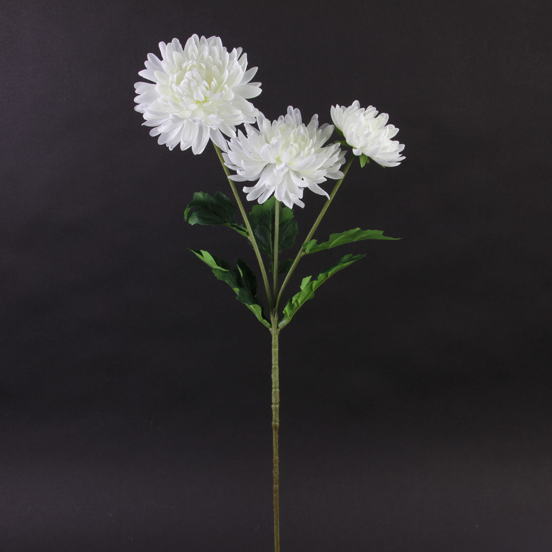 24.5"MUM SPRAY CREAM