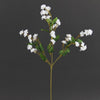18.5"DEL.BABY BREATH X40