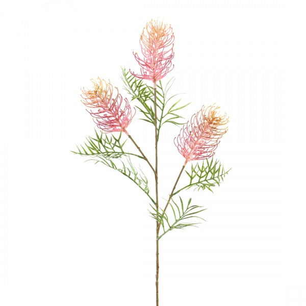 33"GREVILLEA BANKSII SPRAY