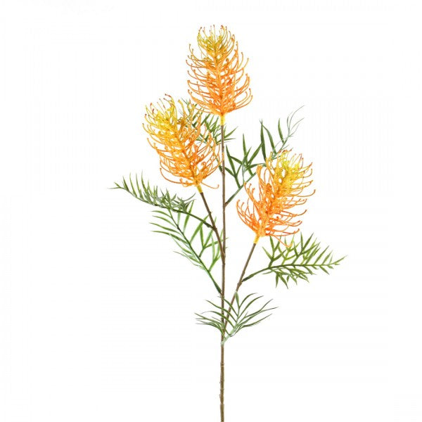 33"GREVILLEA BANKSII SPRAY