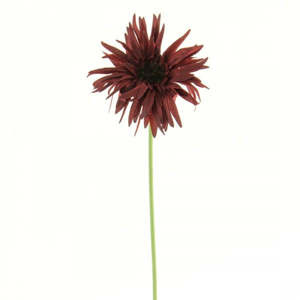 19"SPR GER DAISY SPRY B5 A4