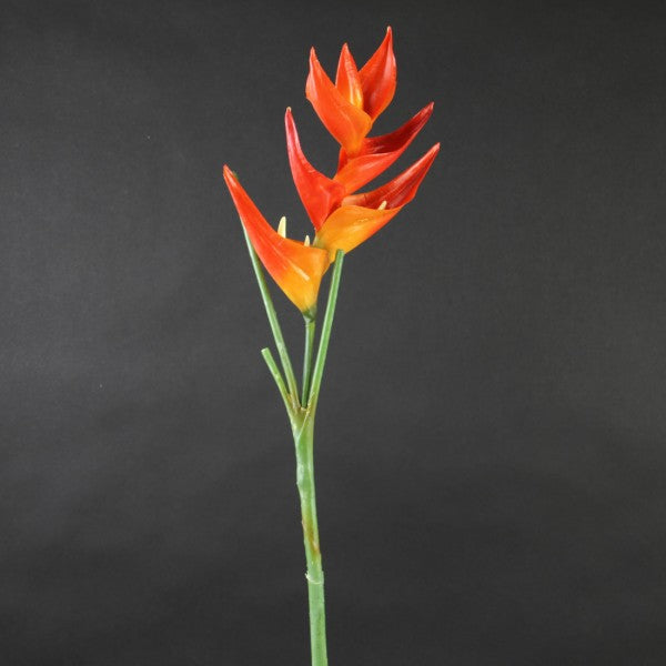 34"SM.HELICONIA SPRAY ORANGE