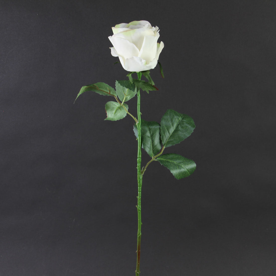 22"LG.ROSE BUD SPRAY BEIGE