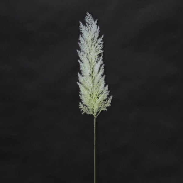 60.5"PAMPAS GRASS SPRAY CREAM