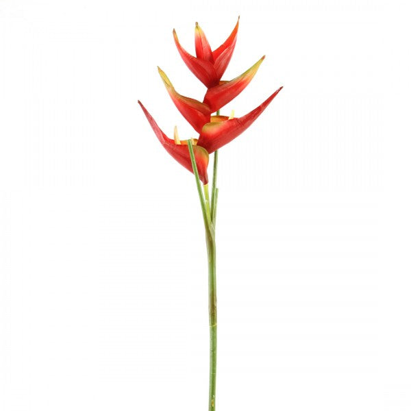 34"SM.HELICONIA SPRAY